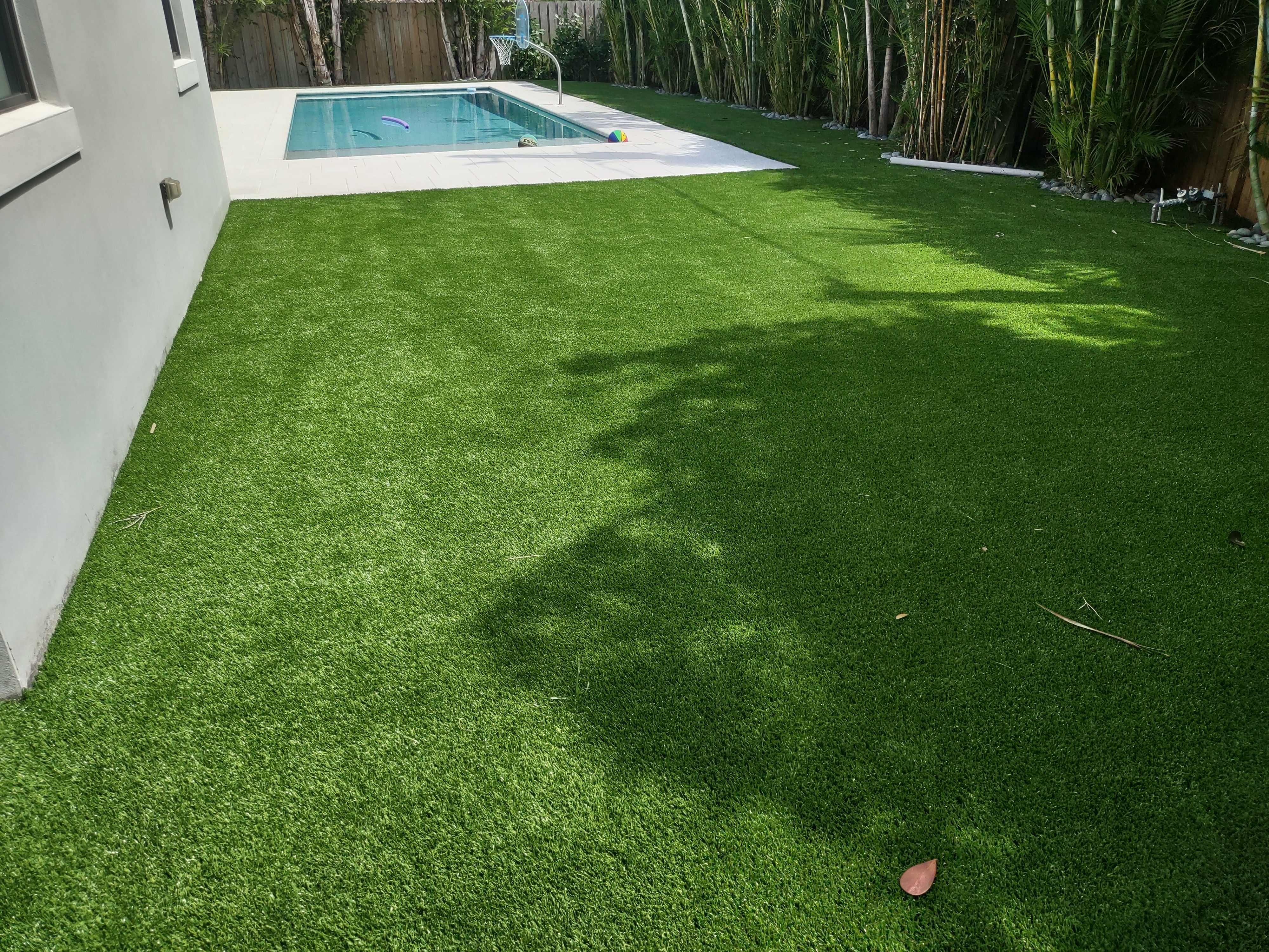 Parkland Sr. Williams,  great job ! 